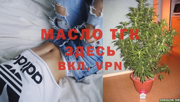 гидра Алексеевка