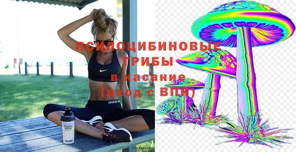 гидра Алексеевка