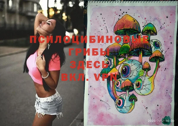 гидра Алексеевка