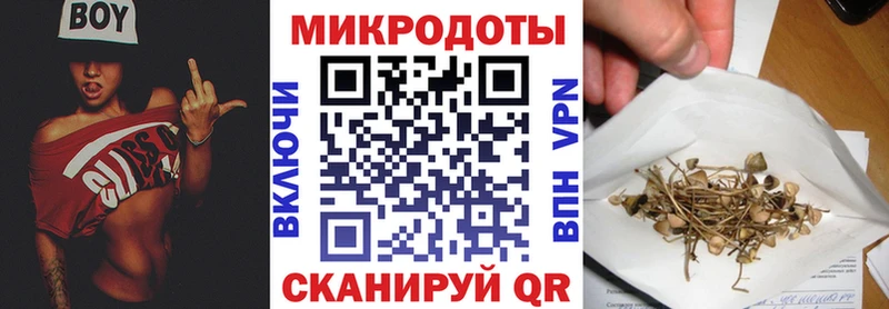 Псилоцибиновые грибы Psilocybine cubensis  kraken маркетплейс  Киселёвск 